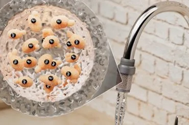 Levadura para filtrar agua