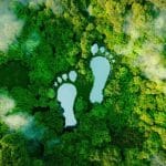 Huella de carbono en la elaboración de cerveza