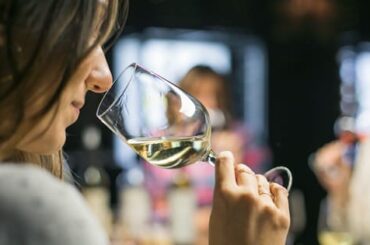 Pasos básicos para degustar y catar un vino