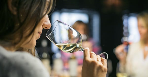 Pasos básicos para degustar y catar un vino
