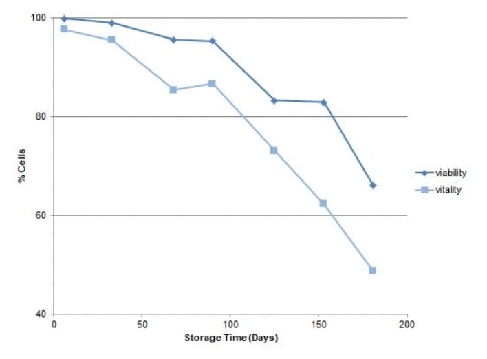 Cambios en la viabilidad y vitalidad de los cultivos de levadura durante el almacenamiento. La viabilidad se midió mediante tinción con yoduro de propidio.