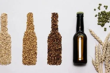 Cerveza vs licor de malta