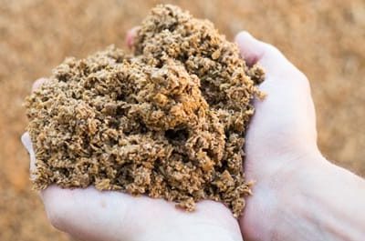 Bagazo de cerveza Bagazo de cerveza