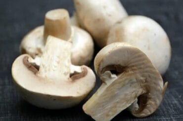 Champiñones frescos