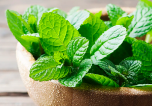 Hojas de menta frescas Hojas de menta verde brillante, utilizadas para aportar un toque refrescante a la bebida terminada.