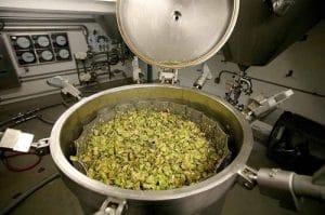 Dry Hopping Dry Hopping