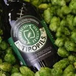 Italian Pilsner