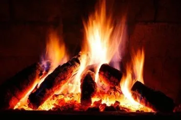 Madera de haya ardiendo
