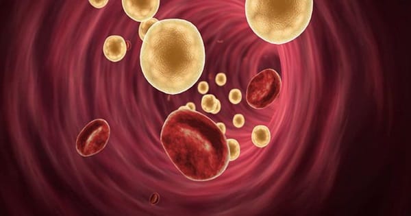 Cerveza y colesterol