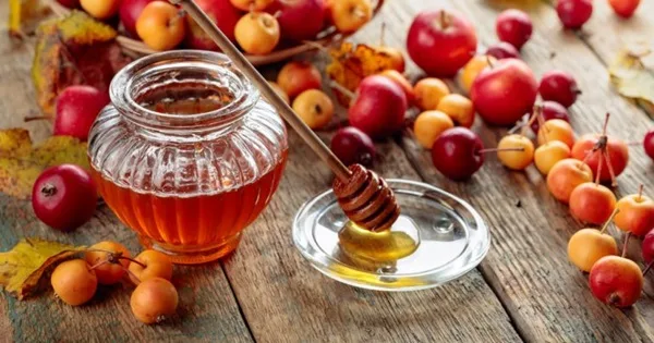 Ingredientes para elaborar hidromiel Ingredientes para elaborar hidromiel: miel, frutas, especias y uvas