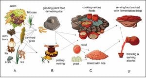 Producción de cerámica y alimentos Proceso de producción de cerámica y alimentos en Shangshan