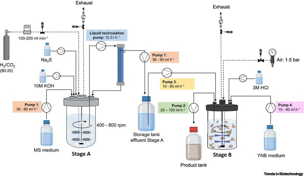 Bioreactor de dos etapas