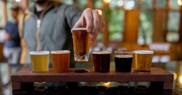 Limpiar el paladar al catar cerveza