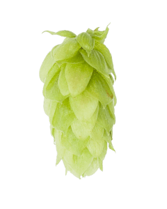 Spalt Spalter Spalt Spalter