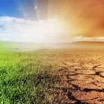 Consecuencias del cambio climático