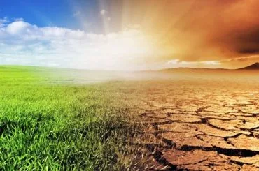Consecuencias del cambio climático