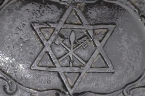 Estrela cervera alemã Estrela cervera alemã