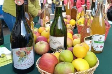 Sidra chilena