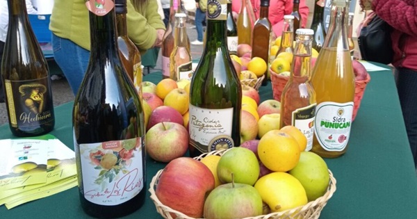 Chilean ciders Chilean ciders