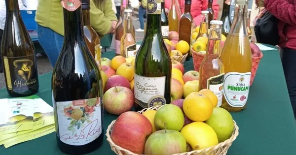 Sidra chilena