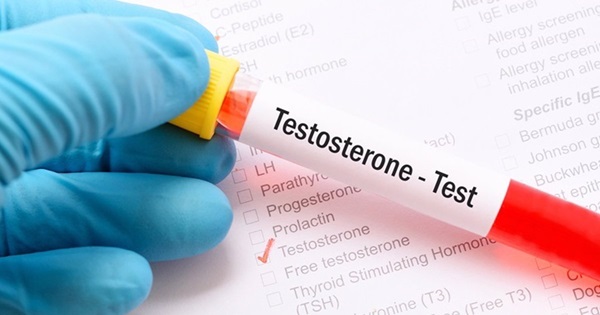 Cerveza y testosterona