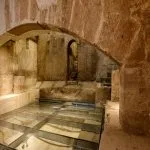 Celler de PROAVA