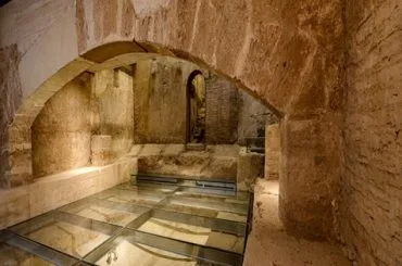 Celler de PROAVA