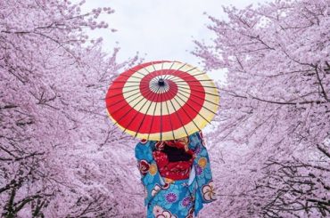 Las 9 mejores cervezas japonesas disponibles en el mercado según Esquire Cultura de japón