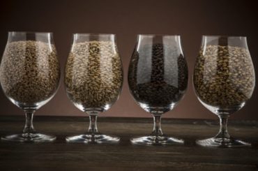 Tipos de malta para elaborar cerveza