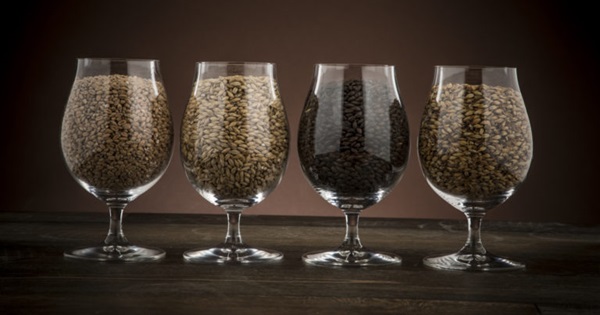 Tipos de malta para elaborar cerveza