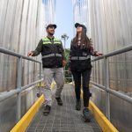 Diplomado Profesional Kustmann Inacap