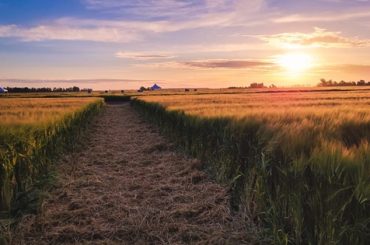 Maltas Malkia y Florence