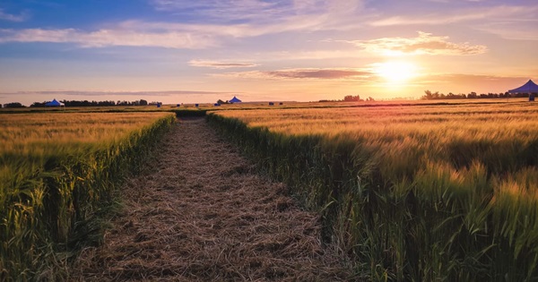 Maltas Malkia y Florence