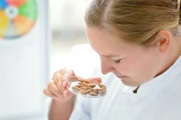 Sala de análisis sensorial