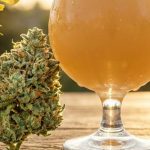 Libro maridaje cerveza y marihuana