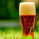 Vienna Lager