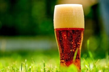 Vienna Lager
