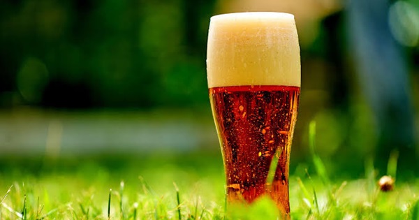 Vienna Lager