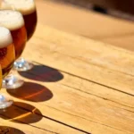 Levadura silvestre Saccharomyces cerevisiae ADHorn49 desarrollada en el Instituto de Ciencia y Tecnología de Nara para producir cerveza artesanal enriquecida con ornitina