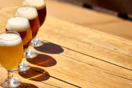 Levadura silvestre Saccharomyces cerevisiae ADHorn49 desarrollada en el Instituto de Ciencia y Tecnología de Nara para producir cerveza artesanal enriquecida con ornitina