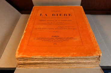 Études sur la Bière
