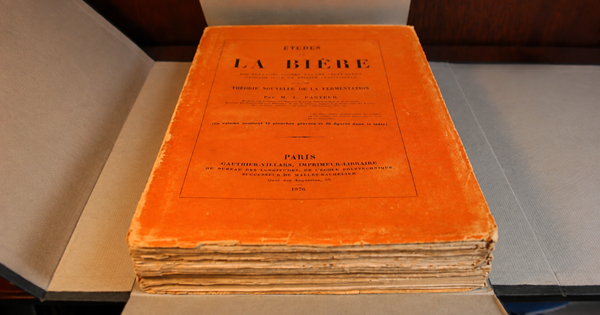 Études sur la Bière