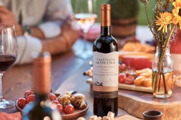 Copa de vino Carmenere chileno en una mesa para celebrar el Dia Nacional del Vino