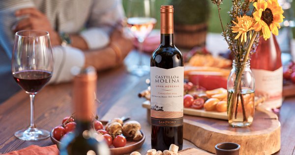 Día Nacional del Vino en Chile Copa de vino Carmenere chileno en una mesa para celebrar el Día Nacional del Vino