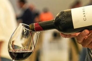 Joven consulta una app de inteligencia artificial para elegir una botella de vino