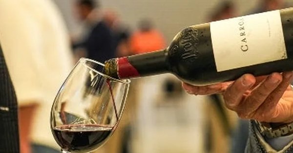 Joven consulta una app de inteligencia artificial para elegir una botella de vino
