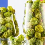 Lúpulos de la nueva ola francesa de Alsacia