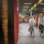 Ciclista en una ruta cervecera por el campo de Flandes, Belgica
