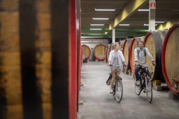 Ciclista en una ruta cervecera por el campo de Flandes, Belgica