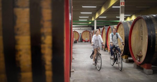 Ciclista en una ruta cervecera por el campo de Flandes, Belgica